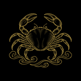 Cancer icon